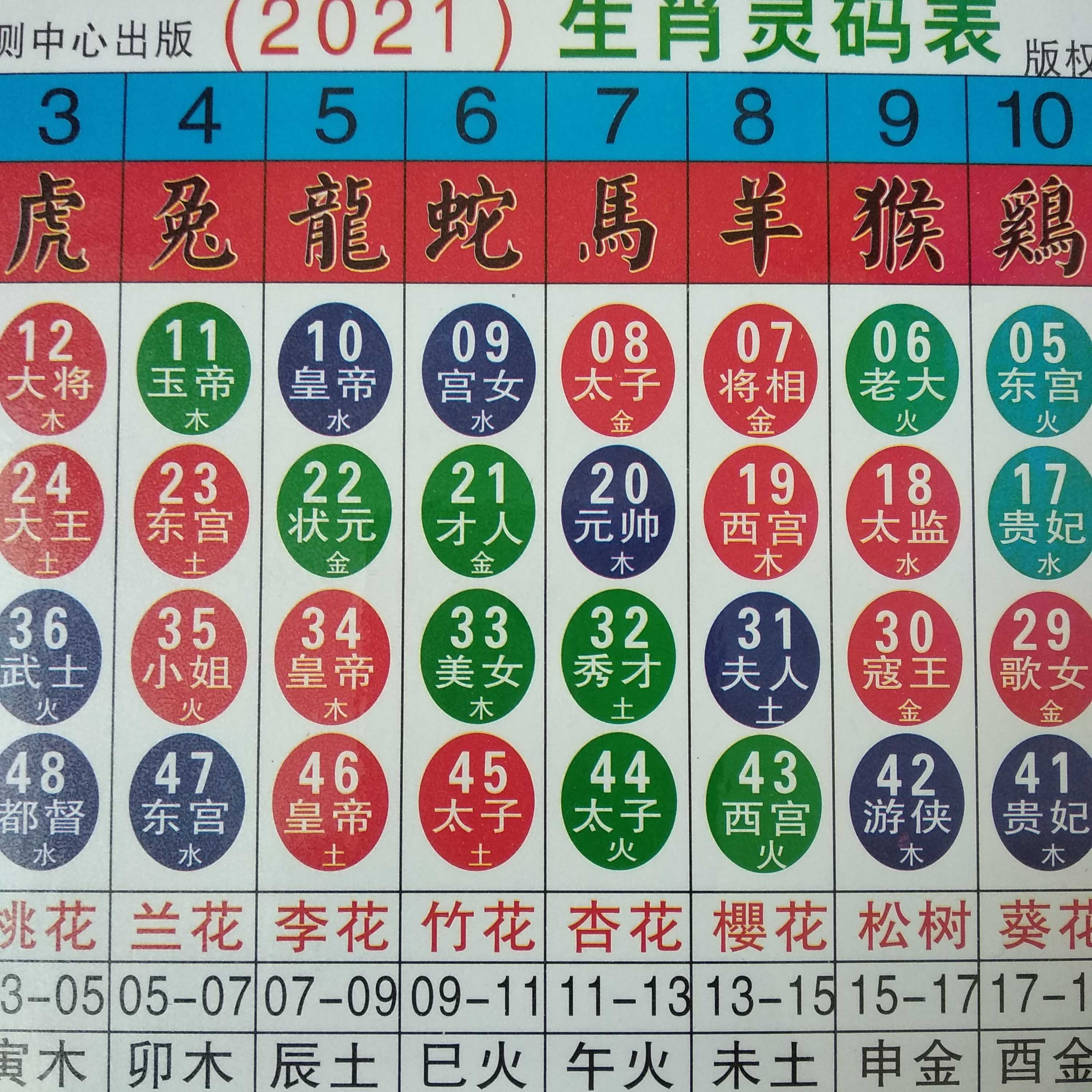 澳門天天彩期期精準(zhǔn)十二生肖，揭秘彩票背后的秘密，揭秘彩票背后的秘密，澳門天天彩期期精準(zhǔn)的十二生肖預(yù)測