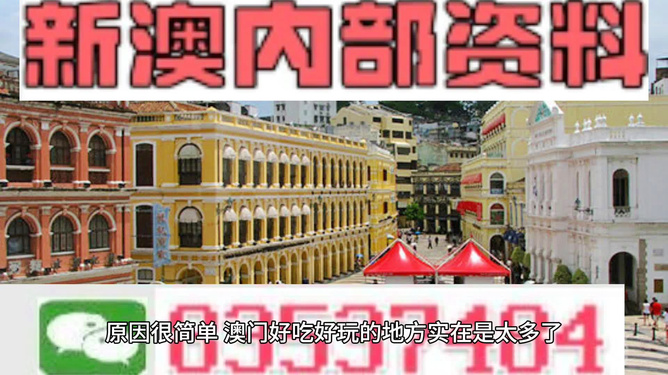 新澳門內(nèi)部精準(zhǔn)公開的多元魅力與發(fā)展，澳門多元魅力與發(fā)展揭秘，內(nèi)部精準(zhǔn)公開的全新面貌