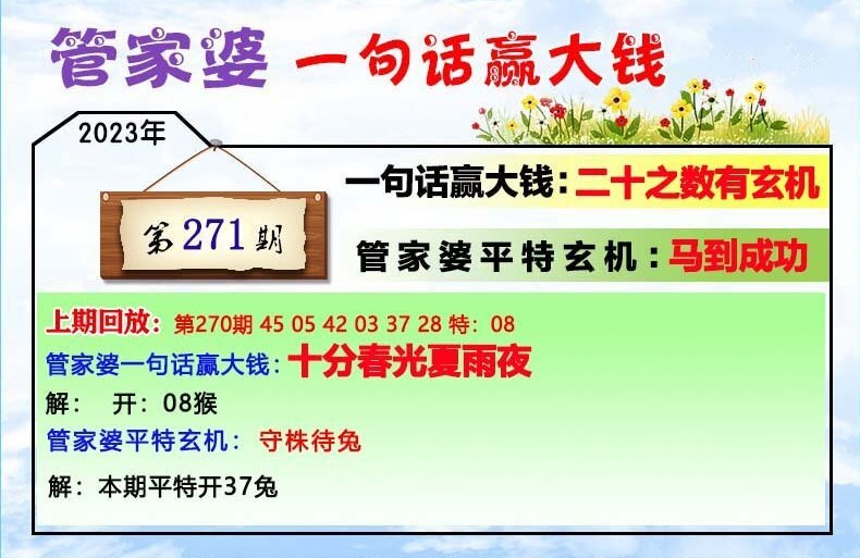 揭秘202管家婆一肖一碼，揭秘彩票背后的秘密，揭秘彩票背后的秘密，探究管家婆一肖一碼的神秘面紗