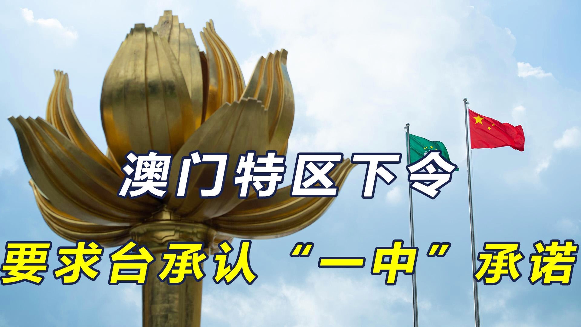 澳門一碼一肖一待一中今晚，澳門今晚一碼一肖一待一中揭曉
