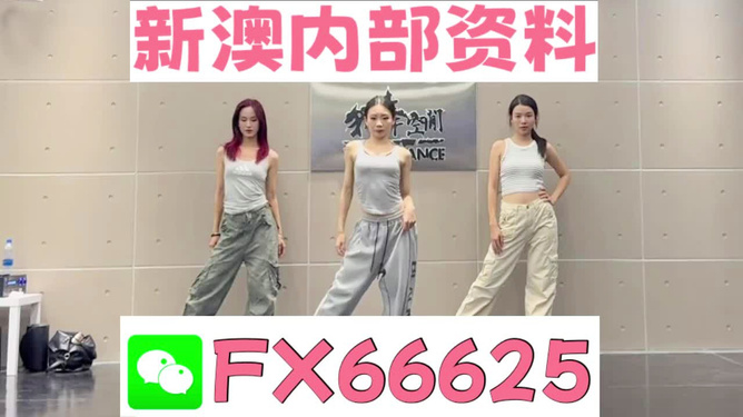 一碼一肖一特早出晚，探尋數(shù)字背后的故事，探尋數(shù)字背后的故事，一碼一肖一特早出晚的神秘面紗