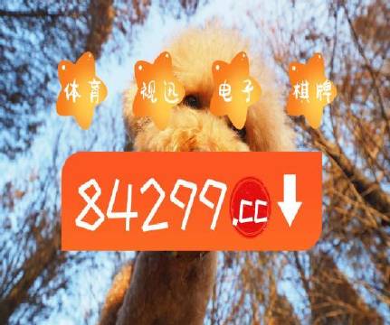 澳門天天免費精準大全——探索澳門的無限魅力，澳門無限魅力探索大全，天天免費精準指南