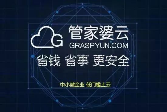 揭秘管家婆一碼一肖，神秘面紗背后的真相，揭秘管家婆一碼一肖，神秘面紗背后的真相探秘