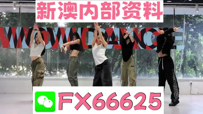一碼一肖，100%精準的神秘魅力，一碼一肖，神秘精準的預(yù)測魅力