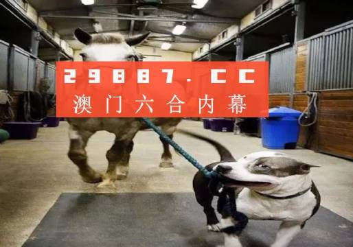澳門(mén)一肖一碼一必中，同舟共濟(jì)共創(chuàng)輝煌，澳門(mén)一肖一碼精準(zhǔn)預(yù)測(cè)，同舟共濟(jì)共創(chuàng)輝煌未來(lái)