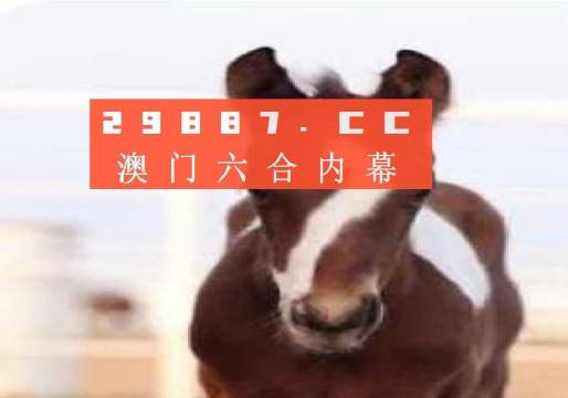 澳門必中一肖一碼第一個——揭秘彩票背后的秘密，揭秘彩票背后的秘密，澳門必中一肖一碼首個秘密揭曉