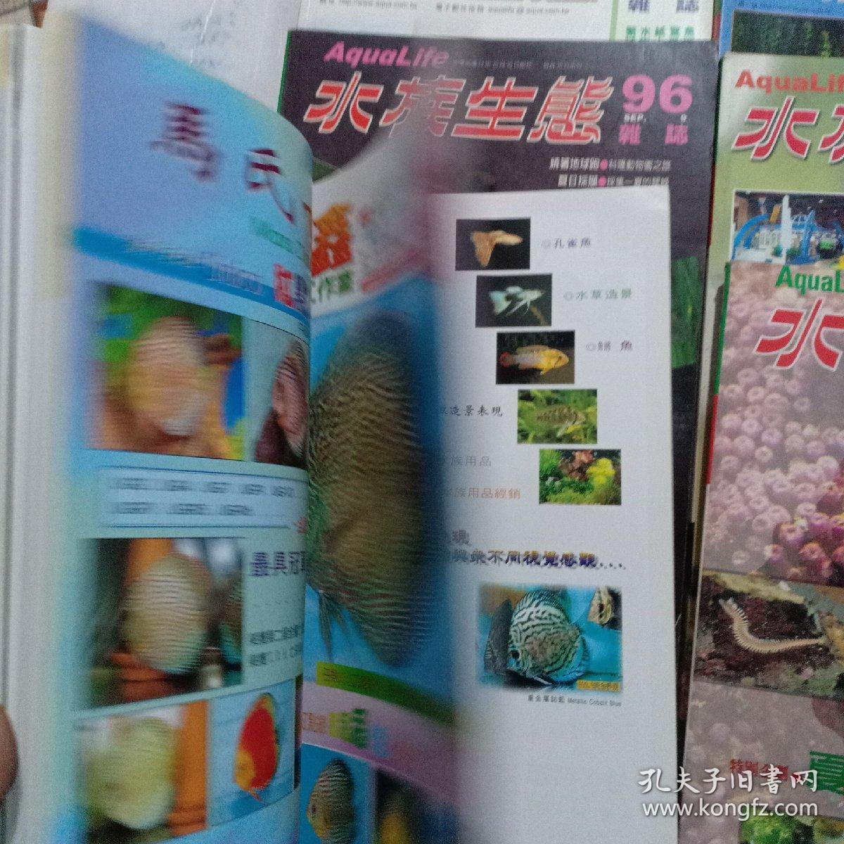 澳門王中王100%期期中一期，揭秘彩票背后的秘密，澳門王中王彩票揭秘，期期中背后的秘密真相探索