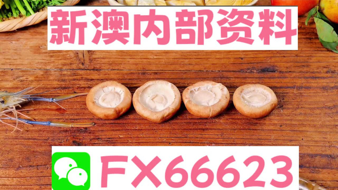 新澳全年免費(fèi)資料大全，一網(wǎng)打盡各類資源，新澳全年免費(fèi)資料大全，各類資源一網(wǎng)打盡