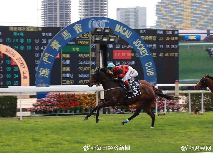 澳門賽馬會網(wǎng)址大全免費——全方位指南，澳門賽馬會網(wǎng)址大全及免費參與指南