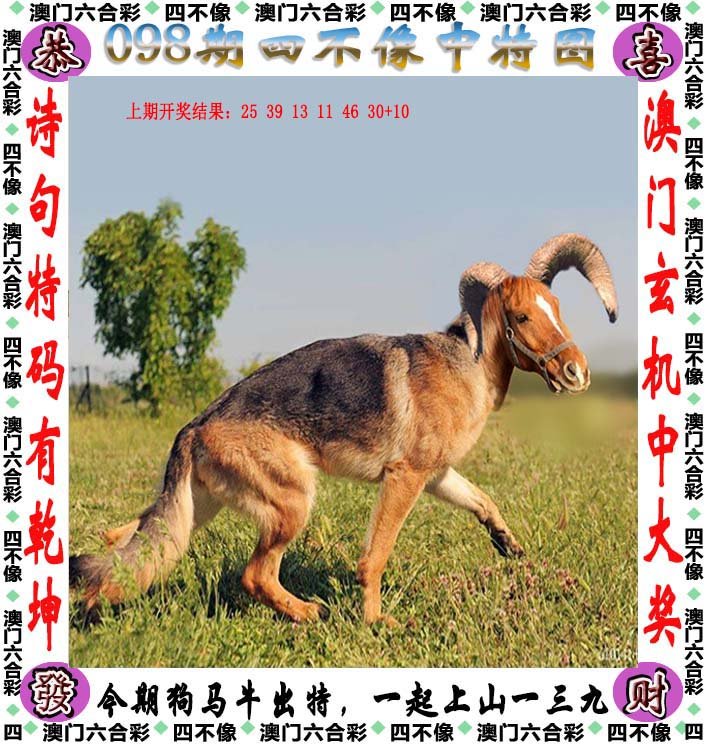 澳門精準(zhǔn)正版四不像，揭秘與探索，澳門精準(zhǔn)正版四不像揭秘探索之旅