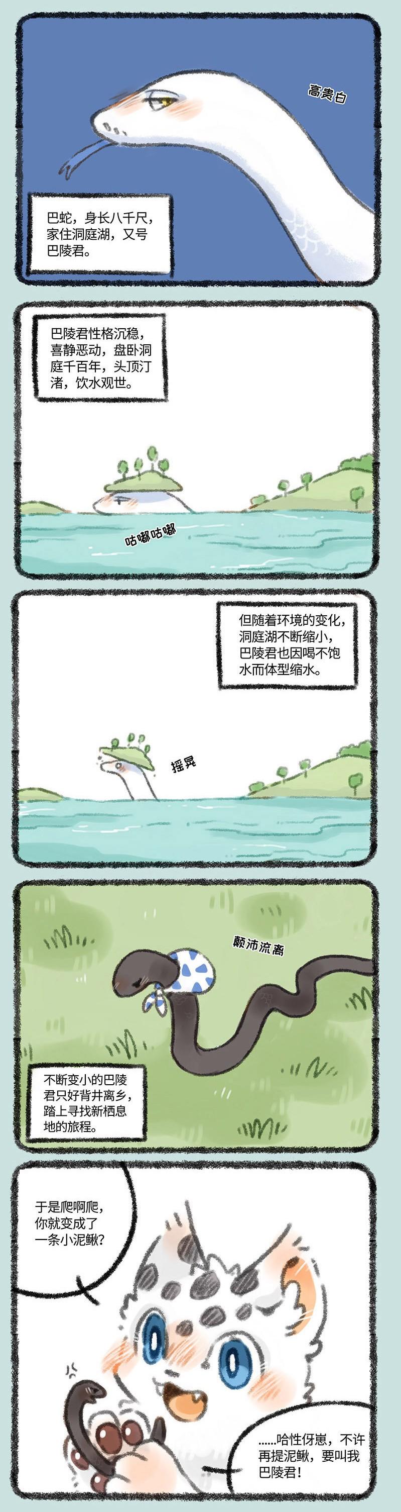 四不像正版，探尋網(wǎng)絡(luò)時(shí)代的正版新定義，網(wǎng)絡(luò)時(shí)代下的正版新定義探尋，四不像正版揭秘