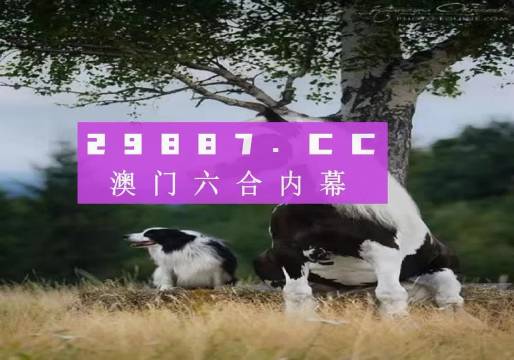 新澳門跑狗圖庫，探索與賞析，新澳門跑狗圖庫，探索與賞析之旅