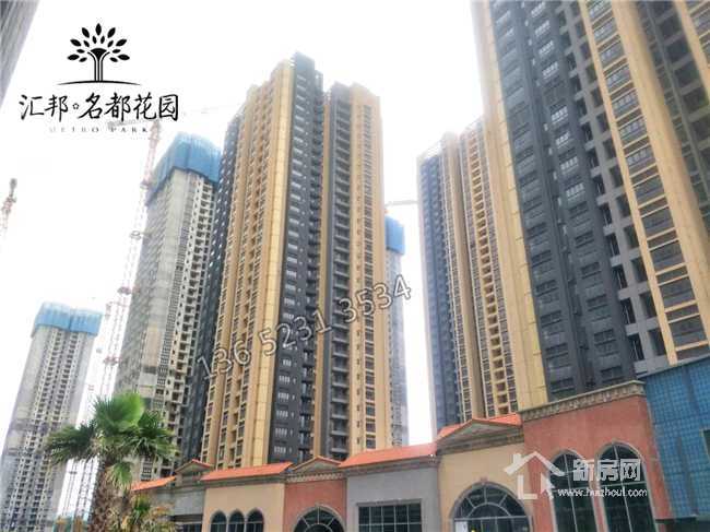 揭秘白小姐三期必出一肖種特的神秘面紗，揭秘白小姐三期必出一肖種特的秘密傳奇