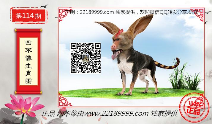 四不像資料免費(fèi)大全——網(wǎng)絡(luò)時(shí)代的寶藏探索，四不像資料免費(fèi)大全，網(wǎng)絡(luò)時(shí)代的寶藏深度探索
