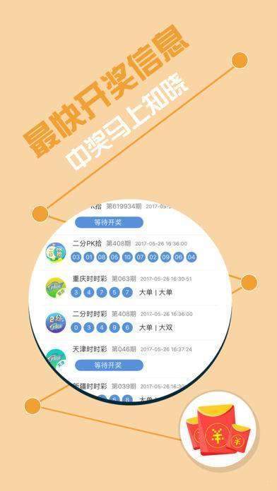 揭秘王中王493333中特開獎(jiǎng)的神秘面紗，揭秘王中王493333中特開獎(jiǎng)背后的秘密面紗