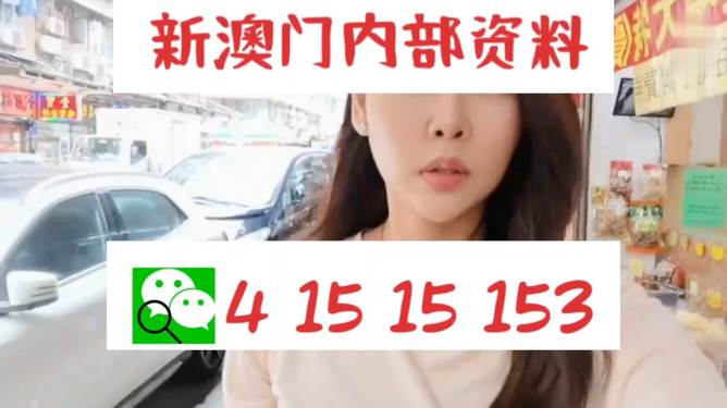 2004新澳門天天開好彩，回顧與展望，澳門彩票行業(yè)，回顧過去，展望未來