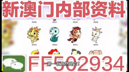 揭秘，2025新澳門今晚生肖揭曉盛典，揭秘，2025新澳門今晚生肖盛典揭曉時(shí)刻