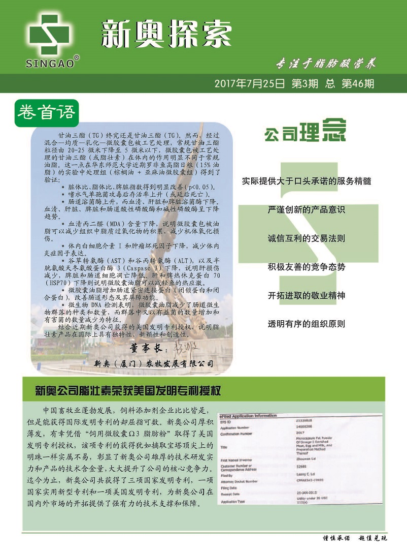 2025新澳精準(zhǔn)資料免費(fèi)下載攻略，2025新澳精準(zhǔn)資料免費(fèi)下載全攻略揭秘