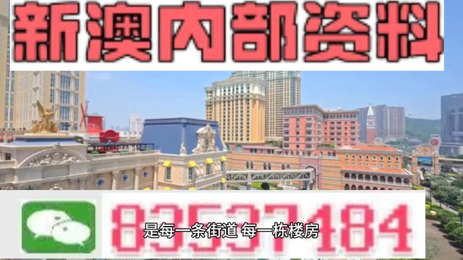 新澳門最精準(zhǔn)正最精準(zhǔn)龍門——探索澳門的魅力與機(jī)遇，澳門魅力與機(jī)遇探索，新澳門最精準(zhǔn)龍門