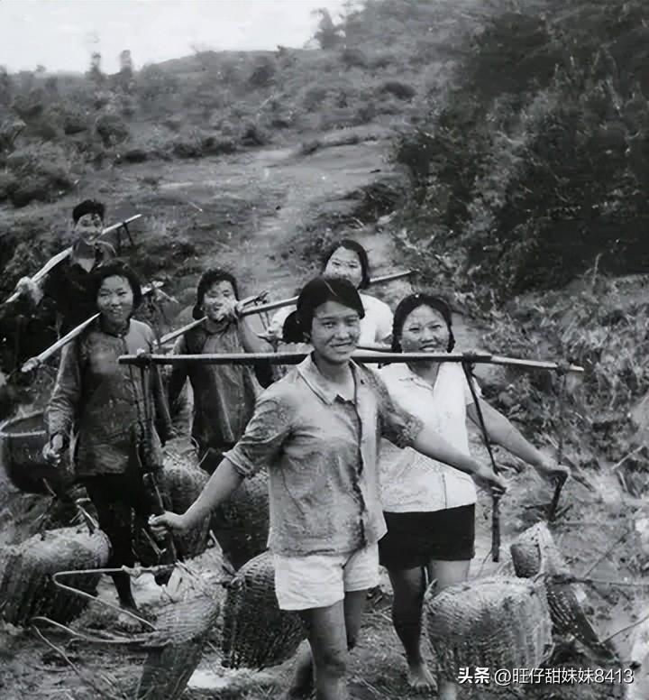 免費(fèi)下載49圖庫(kù)的全方位指南，免費(fèi)下載49圖庫(kù)的實(shí)用指南