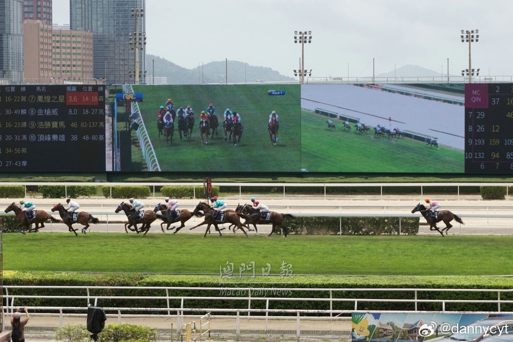 2025新澳門今晚開特馬直播——探索未來的澳門賽馬盛況，澳門賽馬盛況直播，探索未來的新澳門特馬之夜