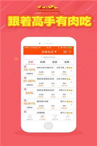 二四六天天彩資料大全網，一網打盡彩票資訊，二四六天天彩資料大全網，彩票資訊一網打盡