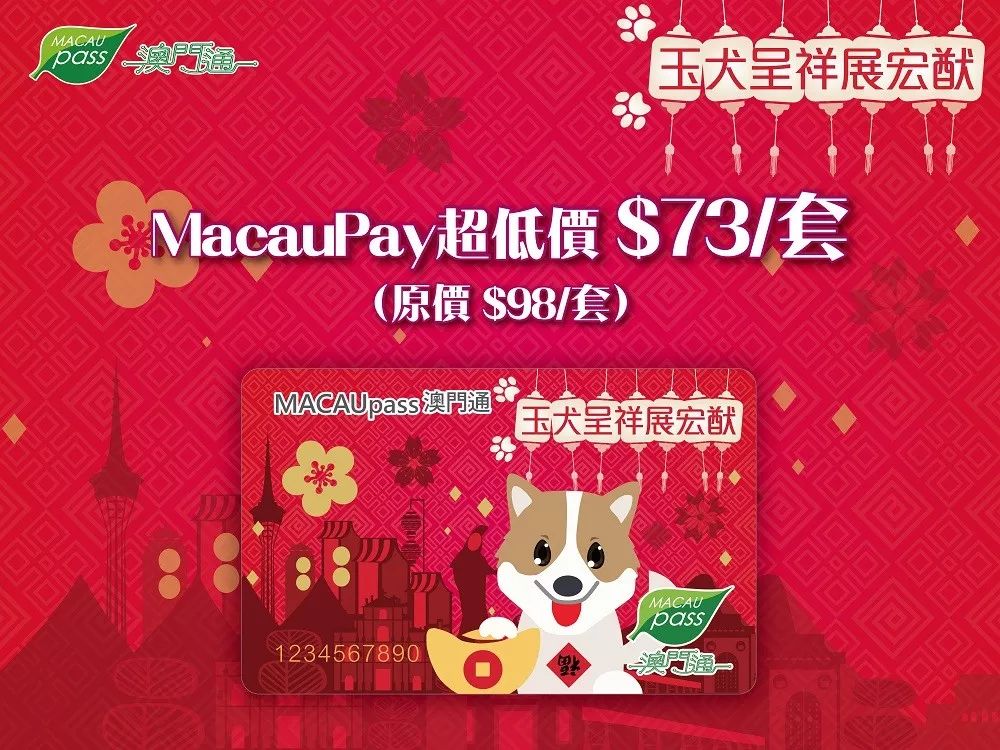 澳門正版資料大全資料生肖卡的魅力與探索，澳門正版資料大全揭秘生肖卡的魅力與探索之旅