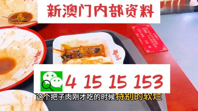 澳門王中王六碼新澳門，揭秘與探索，澳門王中王六碼揭秘與探索之旅