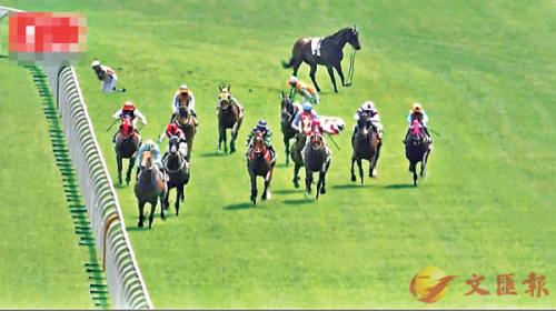 香港資料大全正版資料2025年免費(fèi)四柱，馬報(bào)熱門資訊解析，香港正版資料解析與四柱預(yù)測，熱門馬報(bào)資訊免費(fèi)解讀