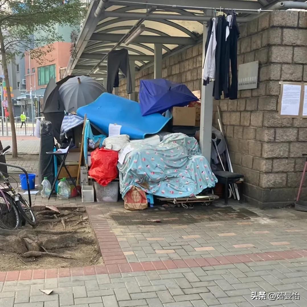 揭秘新澳門天天彩，是否為官方運營？，揭秘新澳門天天彩的官方運營真相