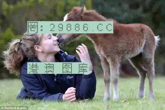 澳門今晚必開(kāi)一肖一特，深度解析與預(yù)測(cè)，澳門今晚生肖特碼深度解析與預(yù)測(cè)，一肖一特必開(kāi)趨勢(shì)探討
