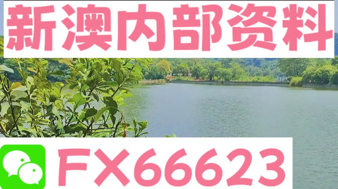 新澳精準(zhǔn)資料提供網(wǎng)站及其可用軟件綜述，新澳精準(zhǔn)資料提供網(wǎng)站與可用軟件概覽