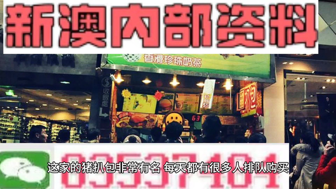 揭秘2025新澳精準(zhǔn)資料大全，深度解讀與解析，揭秘2025新澳精準(zhǔn)資料大全，深度解讀與全面解析
