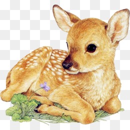 四不像資料免費(fèi)大全精準(zhǔn)，一網(wǎng)打盡各類資源，四不像資料大全，免費(fèi)獲取精準(zhǔn)資源，一網(wǎng)打盡各類資料