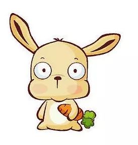 澳門一碼一肖一待一中四不像圖片——揭秘與探索，澳門神秘圖片揭秘，一碼一肖一待一中四不像的探索