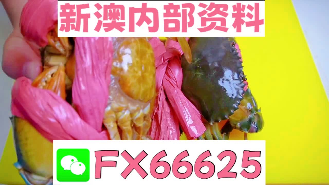 『深度解析』，2025新澳精準(zhǔn)資料大全詳解，深度解析，2025新澳精準(zhǔn)資料大全詳解與指南