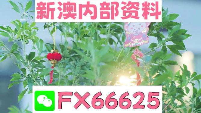 新澳好彩免費資料查詢背后的故事，水果奶奶醉八仙，新澳好彩免費資料查詢背后的故事，水果奶奶的八仙醉傳奇