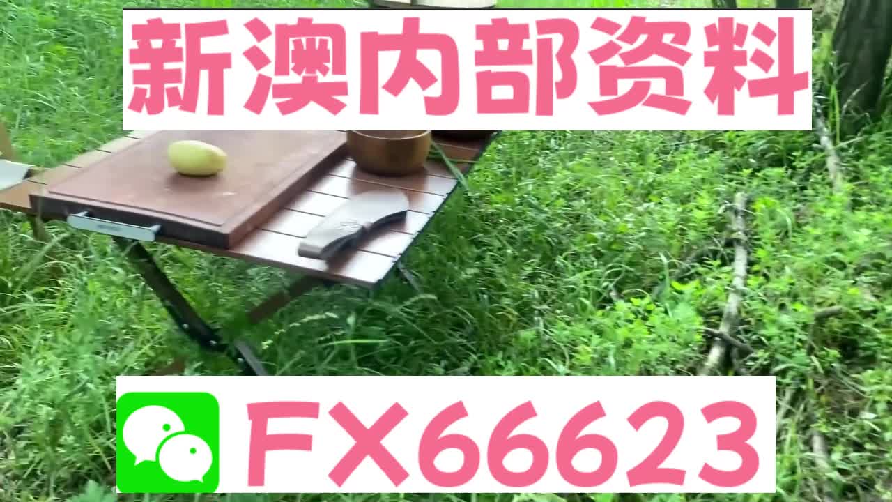 『深度解析』，2025新澳精準(zhǔn)資料大全詳解，深度解析，2025新澳精準(zhǔn)資料大全詳解與指南