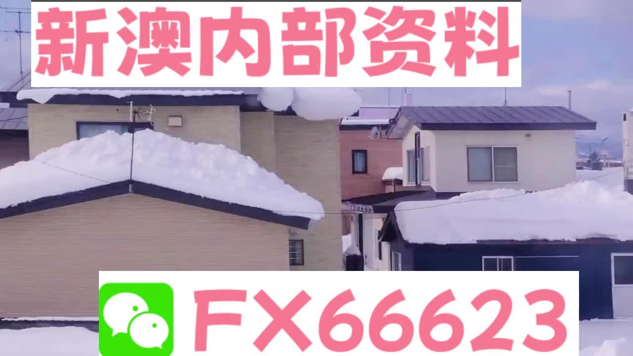 『深度解析』，2025新澳精準(zhǔn)資料大全詳解，深度解析，2025新澳精準(zhǔn)資料大全詳解與指南