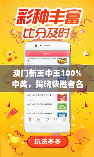 揭秘新澳門王中王，100%期期中傳奇，揭秘新澳門王中王，期期中傳奇的真相探索
