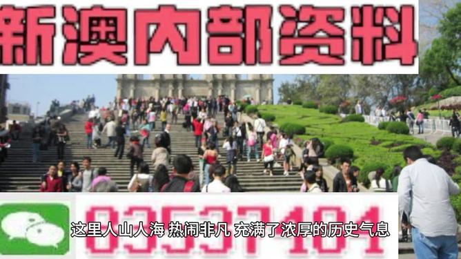 澳門最精準免費資料大全旅游團——探索澳門魅力的絕佳選擇，澳門旅游團，探索澳門魅力的精準免費資料大全