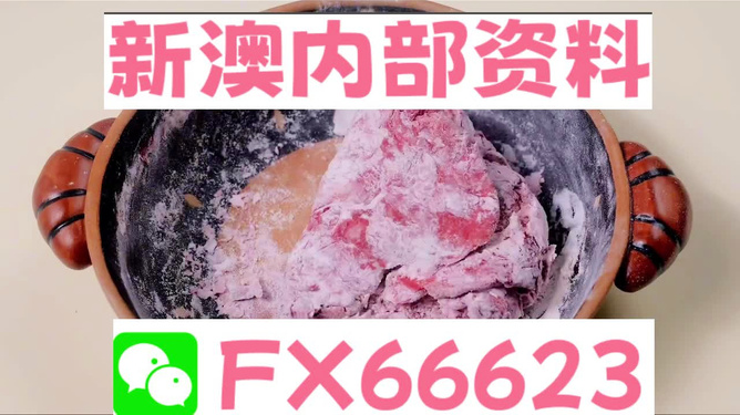 新澳門內(nèi)部一碼精準(zhǔn)公開，探索前沿科技的魅力，澳門前沿科技揭秘，一碼精準(zhǔn)公開探索科技魅力