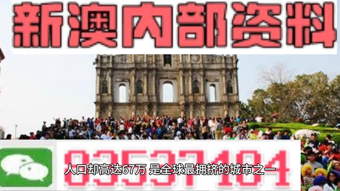 新澳精準(zhǔn)資料免費(fèi)提供，探索510期奧秘，新澳精準(zhǔn)資料探索510期奧秘，免費(fèi)公開(kāi)揭秘