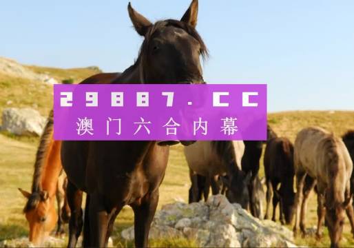 澳門管家婆之肖一碼傳奇，澳門管家婆肖一碼傳奇，揭秘神秘傳奇故事