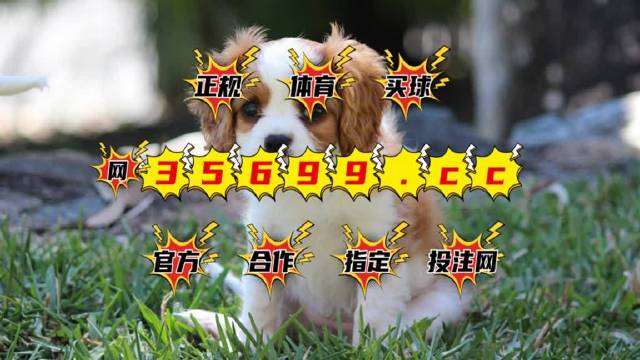 澳門特馬今期開獎(jiǎng)結(jié)果2025年記錄全解析，澳門特馬2025年開獎(jiǎng)結(jié)果全記錄解析