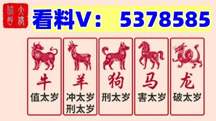 揭秘澳門(mén)特馬今期開(kāi)獎(jiǎng)結(jié)果查詢——一網(wǎng)打盡最新資訊，澳門(mén)特馬最新開(kāi)獎(jiǎng)結(jié)果及資訊查詢指南