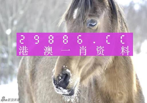 澳門一肖一碼百分百精準(zhǔn)預(yù)測——揭秘彩票背后的秘密，澳門彩票預(yù)測揭秘，一肖一碼百分百精準(zhǔn)背后的秘密
