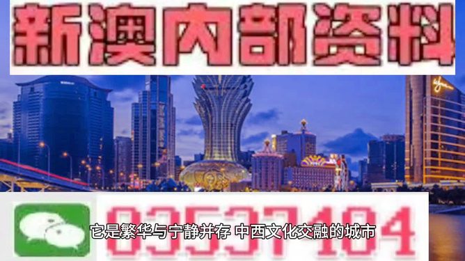 澳門正版資料大全特色解析，澳門正版資料大全特色詳解