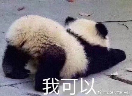 澳門四不像網(wǎng)鳳凰，探索神秘與魅力的交匯點(diǎn)，澳門四不像網(wǎng)鳳凰，神秘魅力交匯點(diǎn)的探索之旅