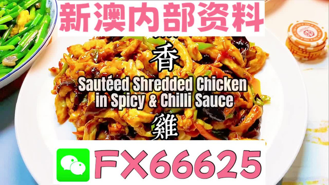 新奧精準(zhǔn)資料免費(fèi)提供，助力個(gè)人與企業(yè)成長(zhǎng)，新奧精準(zhǔn)資料免費(fèi)分享，助力個(gè)人與企業(yè)發(fā)展